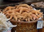 Munchachos Snacks Children: World Curiosity Crazy Snacks China Starfish